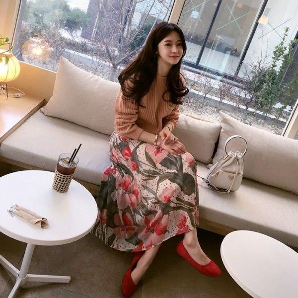 Cross border source South Korea early spring gentle romantic tulip Print Chiffon Skirt pleated design long skirt
