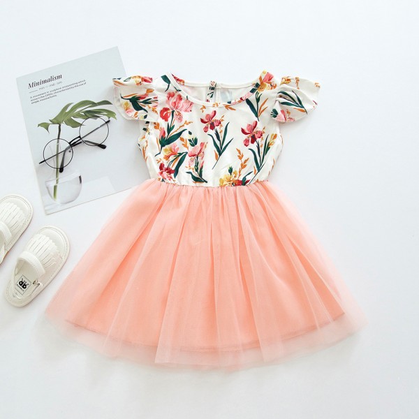 Ew children's clothing new cross border new Euro American girl flower princess skirt baby dress in summer of 2019