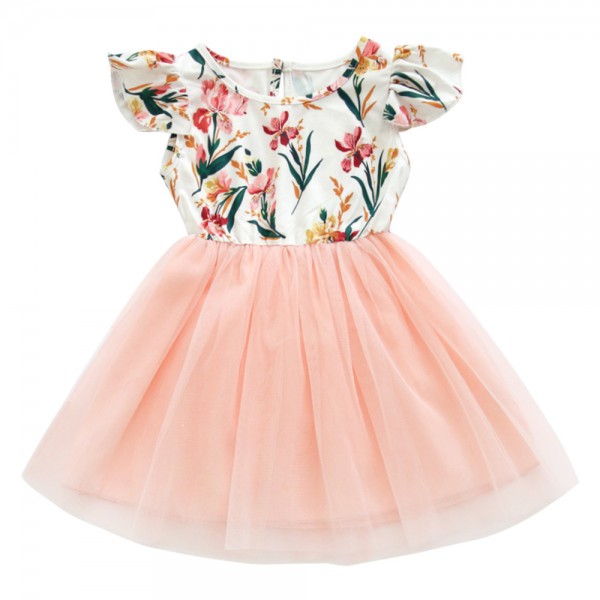 Ew children's clothing new cross border new Euro American girl flower princess skirt baby dress in summer of 2019