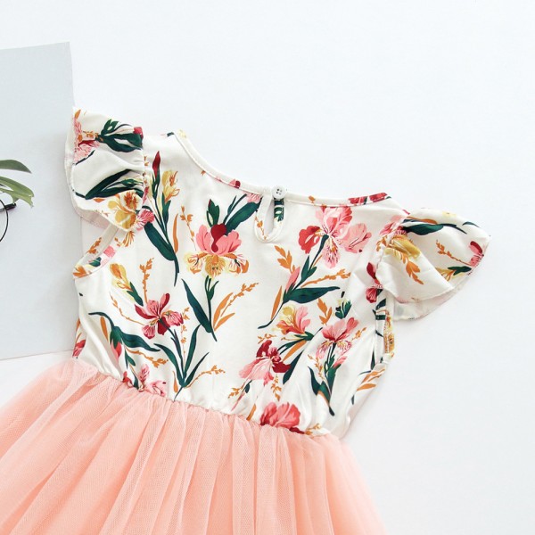 Ew children's clothing new cross border new Euro American girl flower princess skirt baby dress in summer of 2019