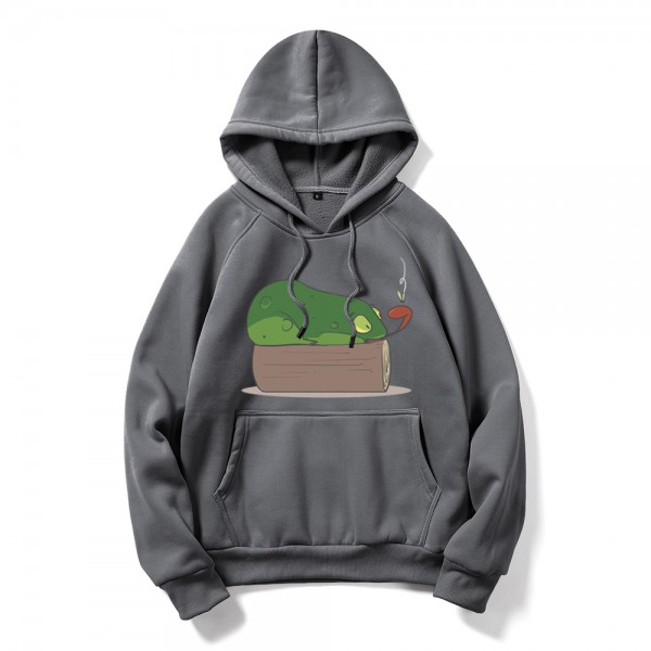 Autumn and winter cross border New Youth DIY cartoon chameleon flower sweater large size long sleeve men's Hooded Sweater